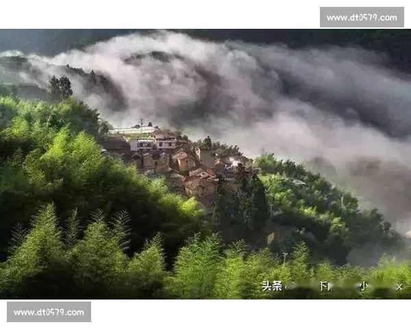 1200 人赴松阳之约：在江南秘境中定向穿行