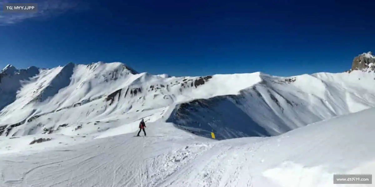 <strong>彩神</strong>🏋️‍♀️举铁不只是力量，更是对自己的全力以赴！